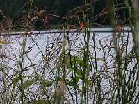 2014.07.11.-12. - Harz Triathlon-13